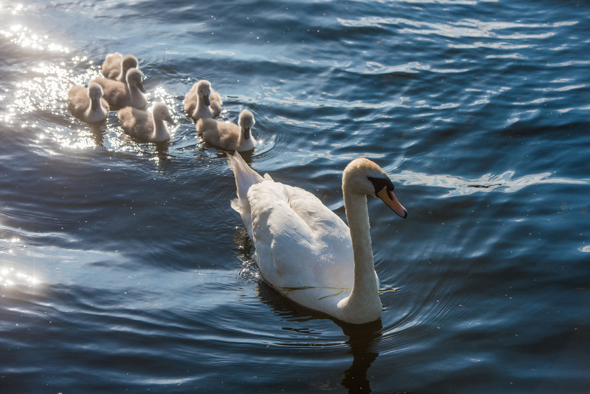 Lough Erne Resort Enniskillen Dış mekan fotoğraf